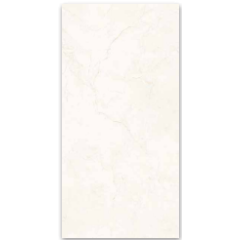 CAÑUELAS CERAMICO LYON PULIDO RECT. 61,3